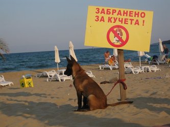 obuchenie na kucheta - fakultativno obuchenie